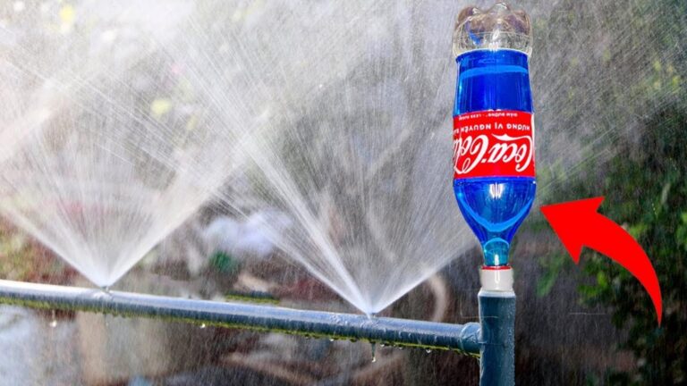 This simple method transforms empty bottles into amazing energy solutions…