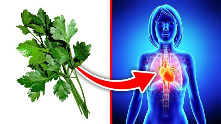 This simple daily habit transforms your health… you won’t guess the secret!