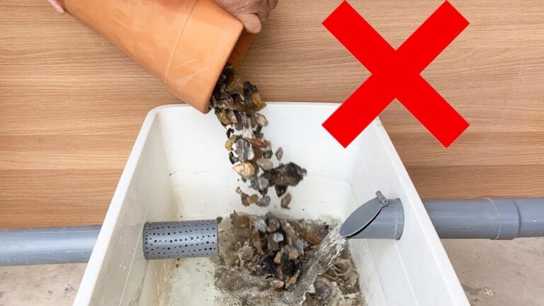 This forgotten trick transforms dirty water into clean drinking bliss…