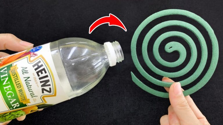 14 Ingenious Home Hacks to Transform Your Space Today!
