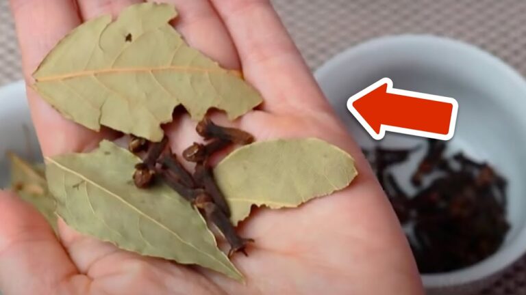 Fight Joint Pain: 5 Surprising Benefits of Bay Leaves and Cloves You Need to Try!