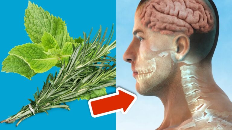 Unlock 7 Surprising Health Benefits of Mixing Rosemary and Mint💥