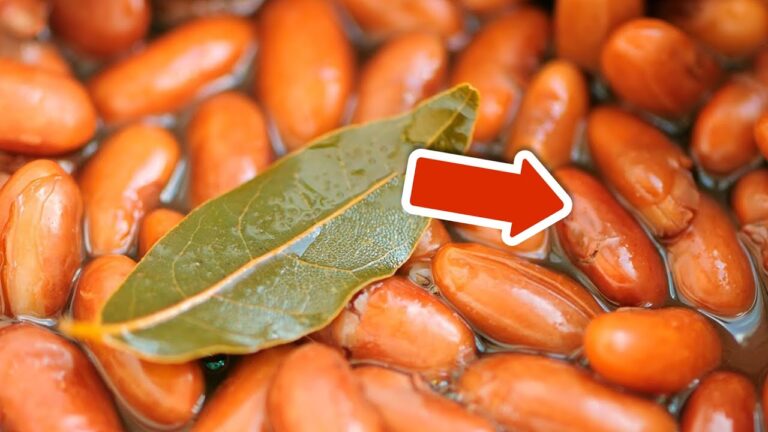 Discover 5 Incredible Benefits of Adding Bay Leaves to Your Soup Today!