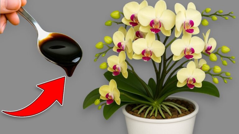 Pour 1 Spoon and Watch 100 Flowers Bloom: Unbelievable Plant Secret!