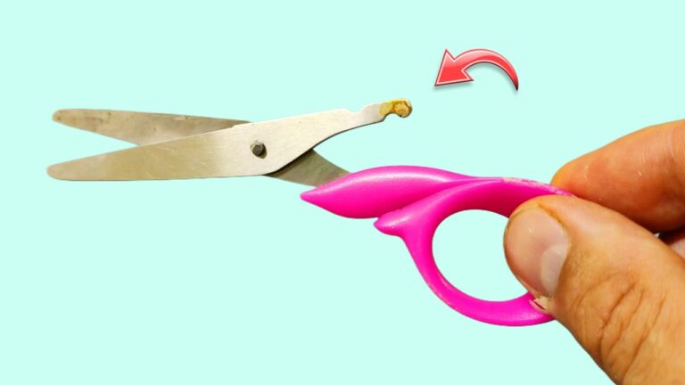 10 Unexpected Household Hacks That Will Change Your Life Forever!