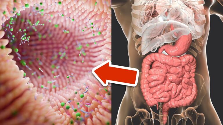 5 Simple Ways to Instantly Boost Your Gut Health and Feel Amazing!