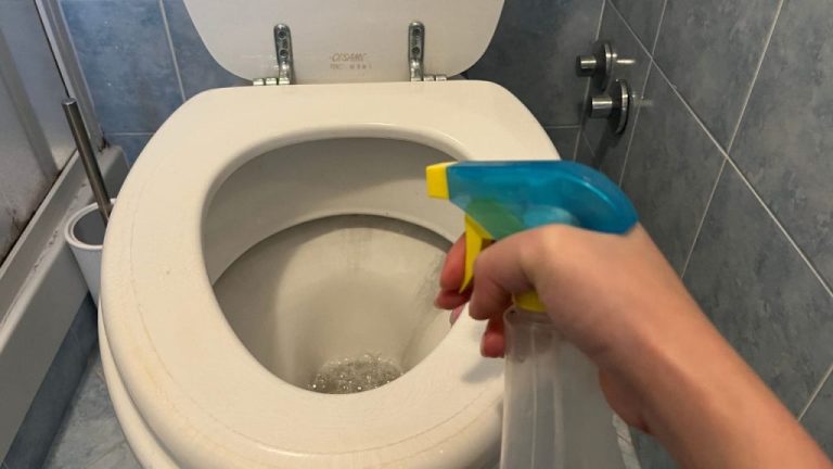 Spray It in the Toilet for a Spotless Shine: Erase Stubborn Stains