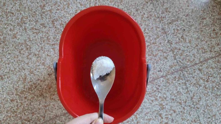 Add a Pinch of Salt to Your Cleaning Bucket to Save Money