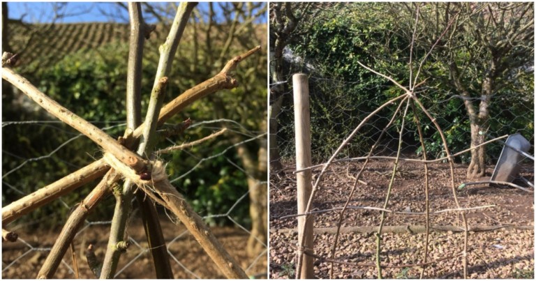Create a Charming Rustic Trellis from Branches: Step-by-Step Guide