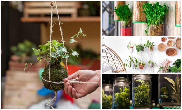 9 Creative Hanging Plant Hacks to Maximize Tiny Spaces