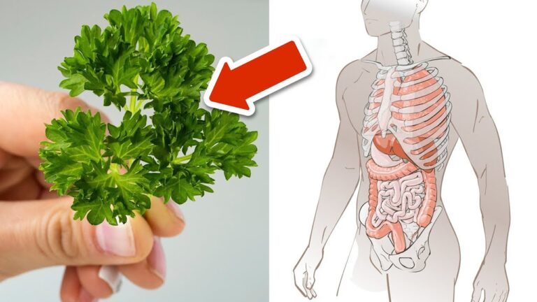 6 Amazing Benefits of Eating More Parsley You Need to Know!