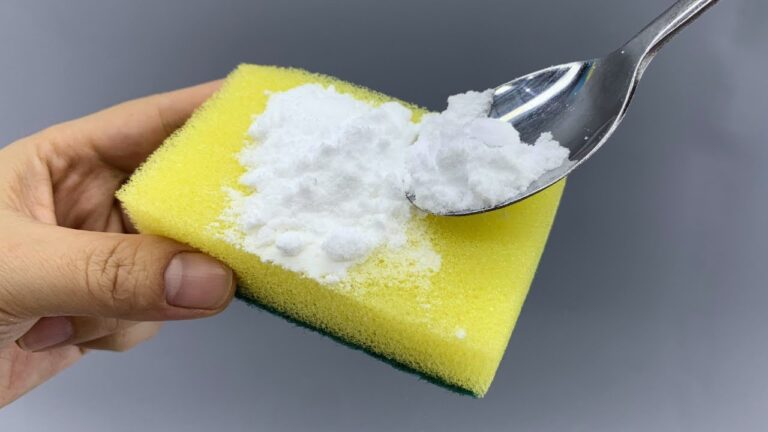 10 Genius Kitchen Sponge Hacks You Need to Try Today!