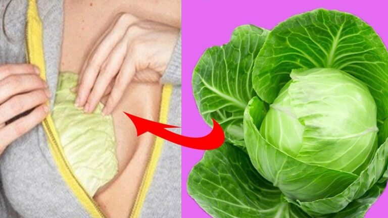 10 Surprising Benefits of Placing Cabbage Leaves on Your Breasts
