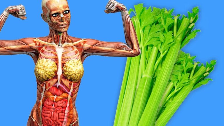 7 Shocking Benefits of Eating Celery Every Day You Won’t Believe!