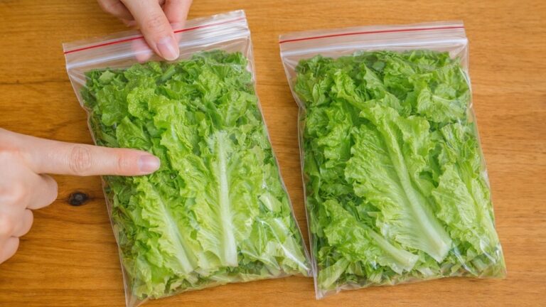 10 Tips to Keep Lettuce Fresh and Crisp for Weeks!