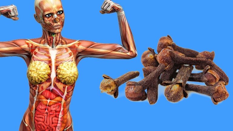 Discover 5 Surprising Benefits of Eating 2 Cloves Daily You Didn’t Expect!