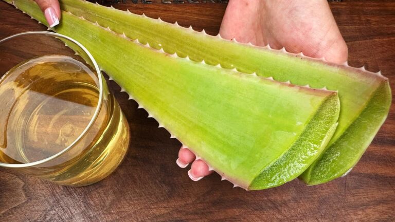 7 Secrets to Looking 30 Years Younger with Collagen and Aloe Vera