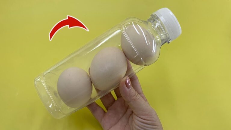 12 Creative Ways to Repurpose Plastic Bottles You’ll Love!