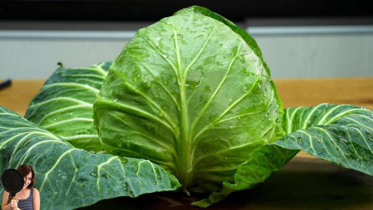 5 Amazing Cabbage Recipes You’ll Wish You Tried Sooner!