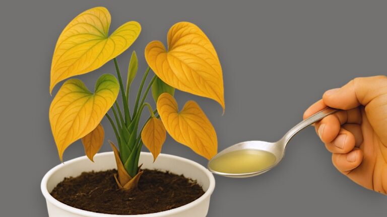 Revive 5 Dying Plants in Minutes with This Simple Trick Every Time!
