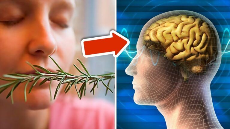 Enhance Your Memory by 75% with This Incredible Herb! Discover How Today!