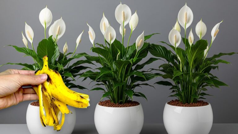 Don’t Throw It Away! It Helps Every Flower Grow Roots, Sprout, and Bloom Up to 800% More.