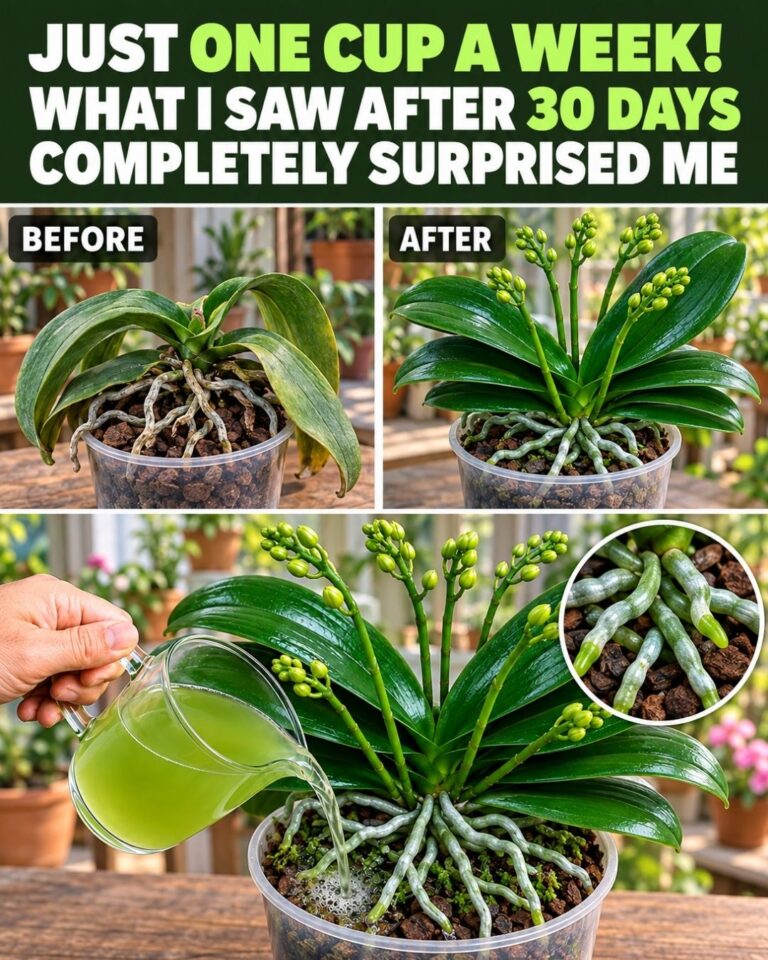 Just one cup a week! What I saw after 30 days completely surprised me.